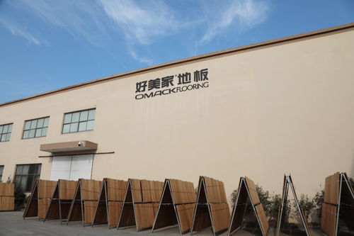 江浙行独家报道 第①天