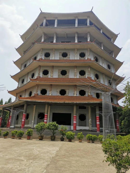 暑期社会实践 传承红色基因 担当历史重任