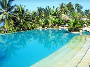 科瓦兰泰姬维梵塔酒店 科瓦兰格林湾 vivanta by taj green cove kovalam agoda