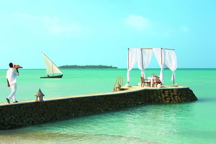 泰姬珍品度假村 taj exotica resort spa
