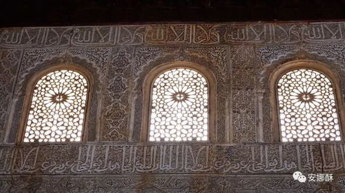 带着粉猪游板鸭 泰姬