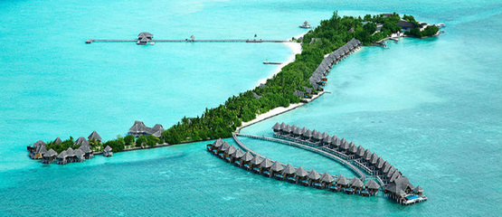 马尔代夫泰姬珍品岛全攻略 体验奢华与自然之美